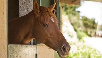 Roccadia * Carlentini