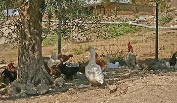 Roccadia Carlentini