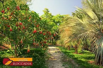 Kır Evi Roccadia *